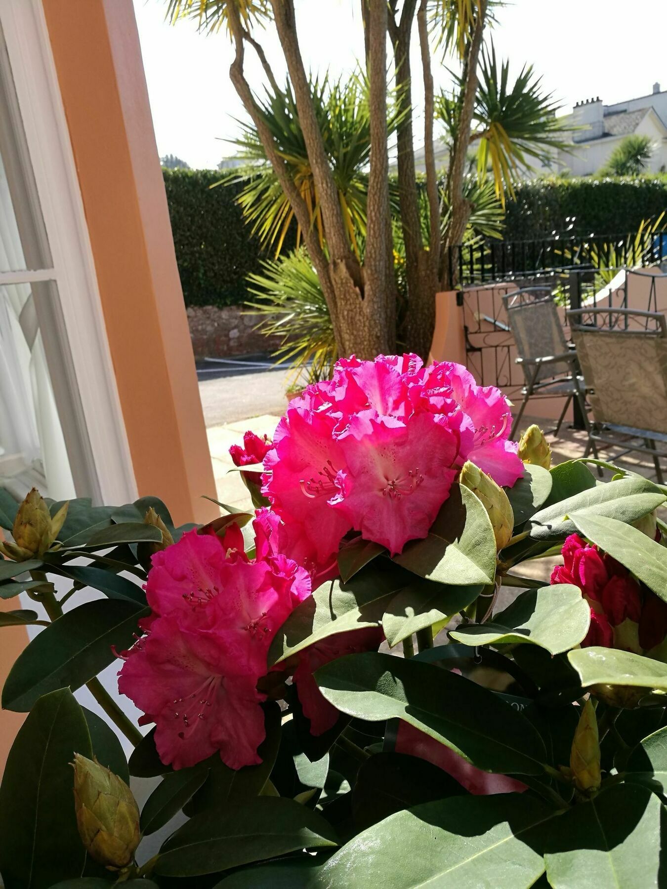 The Devon Court Hotel Torquay Kültér fotó